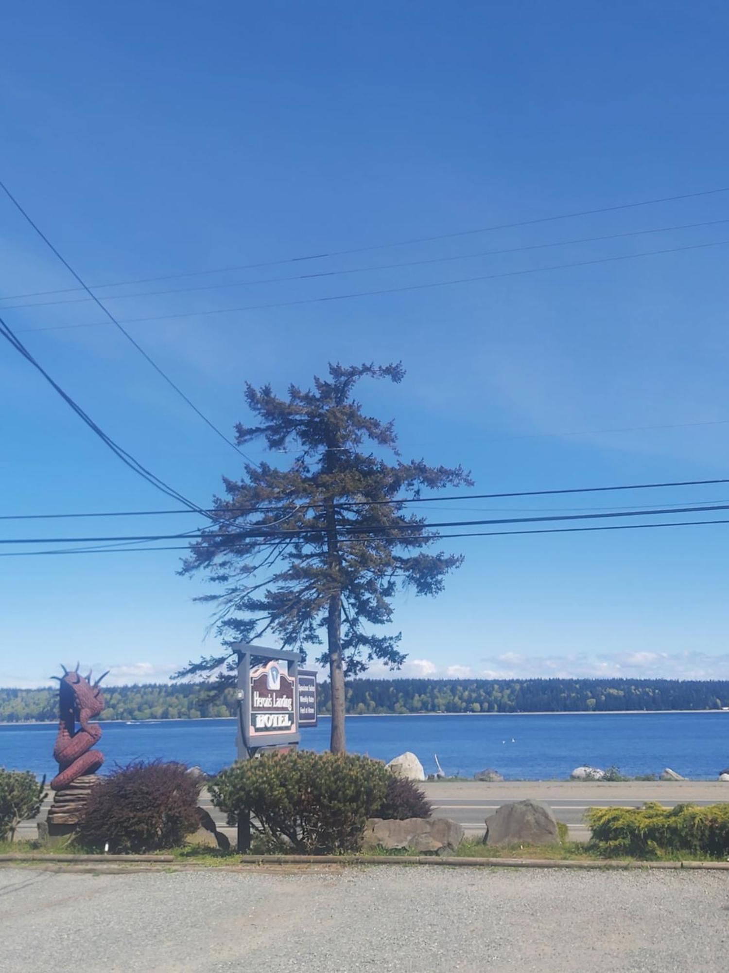 Heron'S Landing Hotel Campbell River Exterior photo