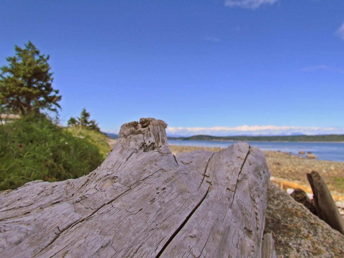 Heron'S Landing Hotel Campbell River Exterior photo
